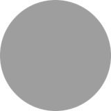 Gray circle icon